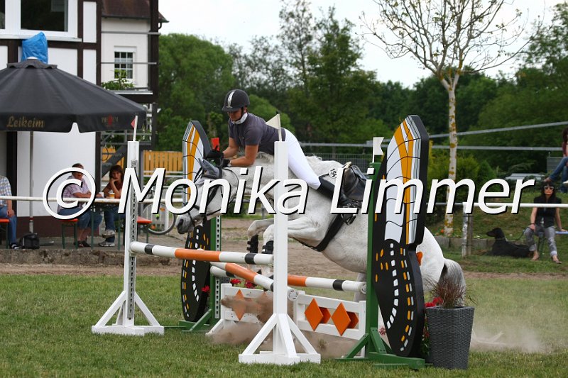 105M0541_Grandioso H_Spring_A.JPG